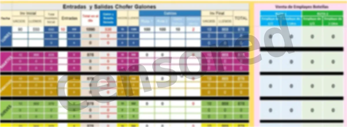 Excel was used in almost all of Marsol's daily operations.